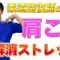 【肩こり解消ストレッチ】座ったままできる！体が硬いあなたにおすすめ！肩こり・首こり解消法！