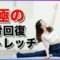 【疲れリセット】極上のストレッチで身体が軽くなる睡眠の質も向上。夜ストレッチ