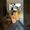 Did I PASS this Anime Stretch? #anime #stretch #challenge #baki #stretching #animeshorts #workout