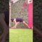 Can You Do This in 30 Seconds? 🕒💪 Yoga + Headstand
