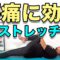 【腰痛に効くストレッチ】Lower Back Pain Relief Stretches