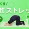じっくり全身柔軟ストレッチ｜まずはこれから一緒に！【17分間】