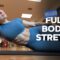 12 Min Full Body Stretch | Daily Routine for Flexibility, Mobility & Relaxation