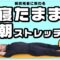 朝のストレッチ｜寝たまま目覚めの6分間