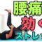 【腰痛に効く！ストレッチ】４分！重だるい腰に効くストレッチ！”4-Minute Stretches for Lower Back Pain Relief!”