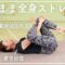 【朝夜8分】寝たまま全身ストレッチでガチガチの体をほぐそう！【疲労回復/反り腰改善/腰痛予防】