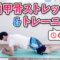 【毎日6分でピッチングを変える！】肩甲骨ストレッチ&トレーニング ［野球 ソフトボール］