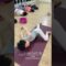 순간적으로 펴는  요추의 비틀림Instantly stretch the twisting of the lumbar spine#yoga#stretch#sports