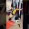 Wall rope yoga  stretching and standing 벽 로프 요가 스트레칭과 일어서기#yoga#stretch#sports